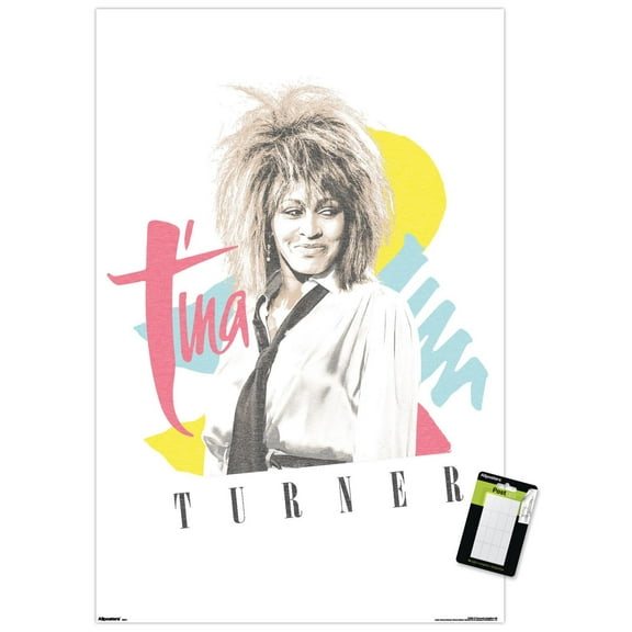 Tina Turner - Simply The Best Wall Poster, 14.725" x 22.375"