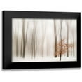 thumbnail image 1 of Tinak, Igor 18x13 Black Modern Framed Museum Art Print Titled - Winter, 1 of 5