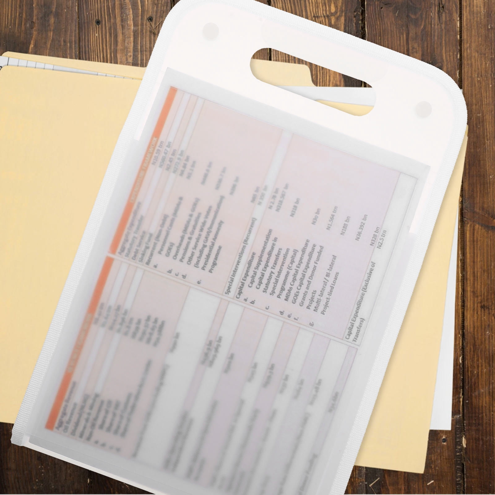 Tineasur Expandable File Organizer White PP for Home Documents Storage ...