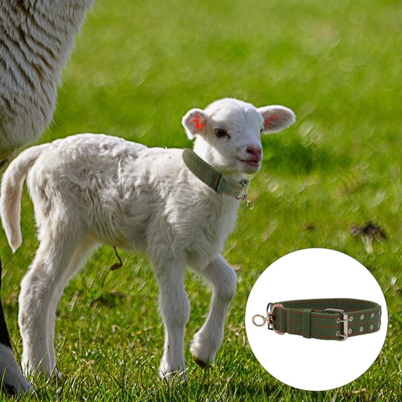 Tineasur 1Pcs Collar for Sheep Neck Protection Thickened Design in Farming