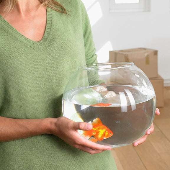 Tineasur 20pcs Fish Aquarium Decor Transparent Plastic Round Decorations for Party Decorations