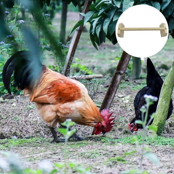 Tineasur Bird Stand Simple and Elegant Wood for Birds 1Pack