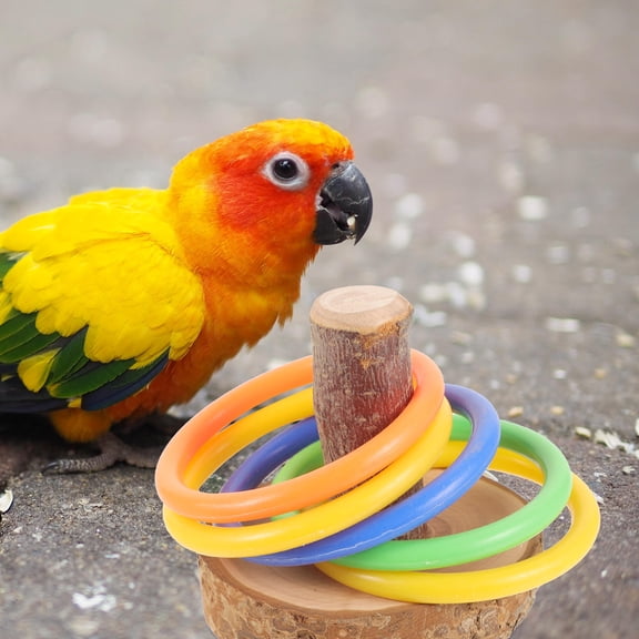 Tineasur Bird Intelligence Training Tool Assorted Colors for Parrots Cockatiels and Small Birds