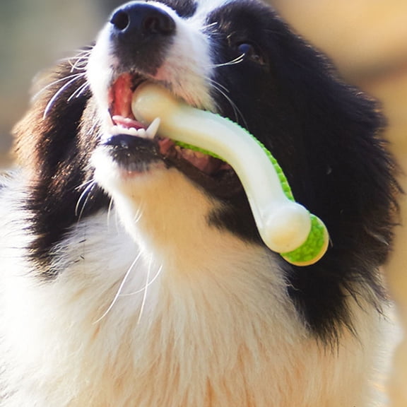 Tineasur Puppy Teething Bones Nylon PU Health Improvement Indoor Use 1Pack