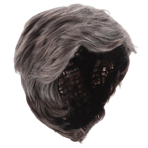Tineasur Men's's Short Light Grey Wig for Cosplay Party Stylish Heat Resistant Synthetic Hair 70100 Characters