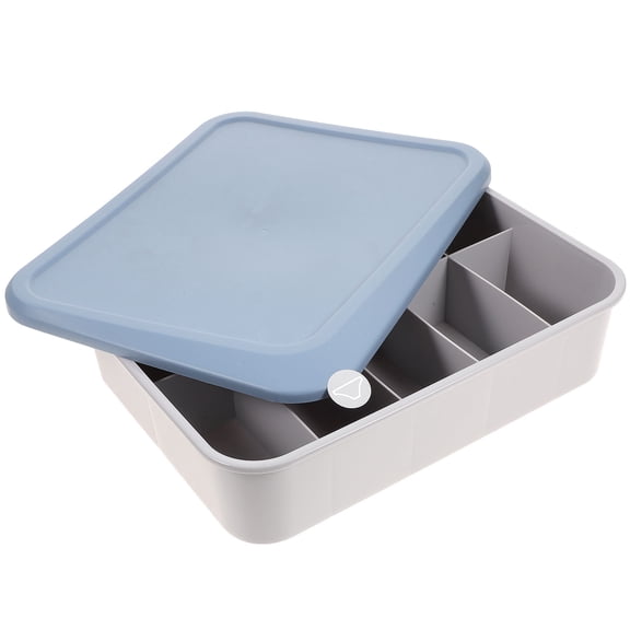 Tineasur Home Storage Organizer Box with Lid for Socks and Underwear, PP Material, 1 Pack Container