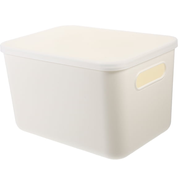 Tineasur Tabletop Storage Case 1Pack White PP Material for Home Organization