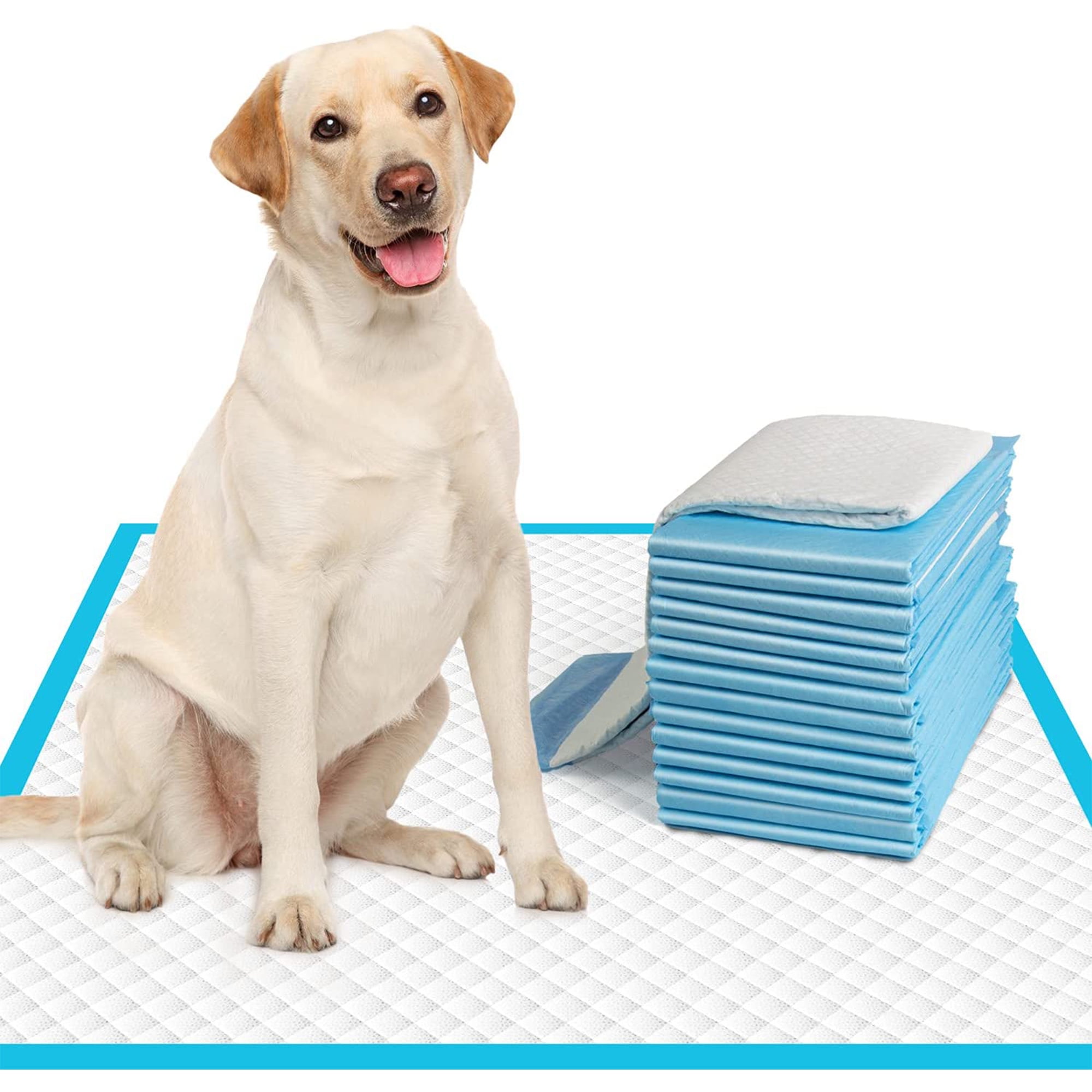 Tinglu 100pack Dog Puppy Pee Pads Disposable Pet Underpads for Potty Training Pad