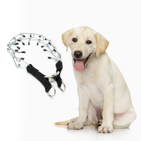 Tinglu Dog Prong Training Chain Collar Adjustable Pet Choke Collar with Comfort Rubber Tips