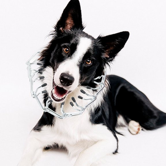 Tinglu Pet Dog Prong Collar Choke Pinch Collar for Dogs Training Tool for Small Large Dogs