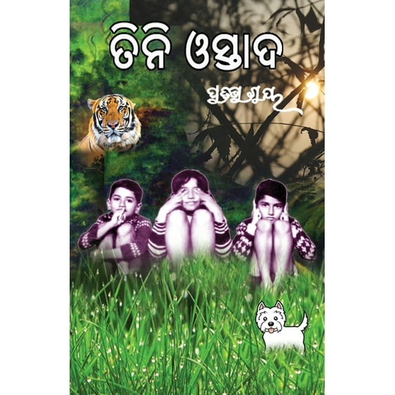 Tini Ostad, (Paperback)