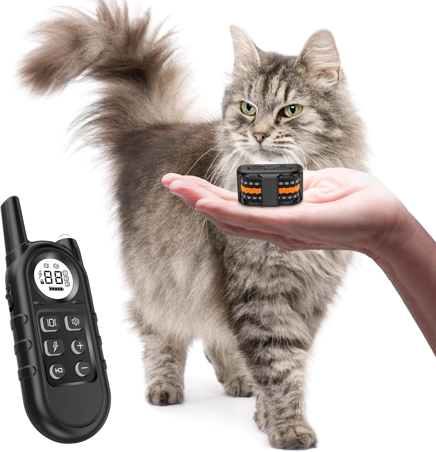 Cat silencing collar hotsell
