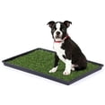 thumbnail image 1 of Tinkle Turf - Medium, 1 of 1