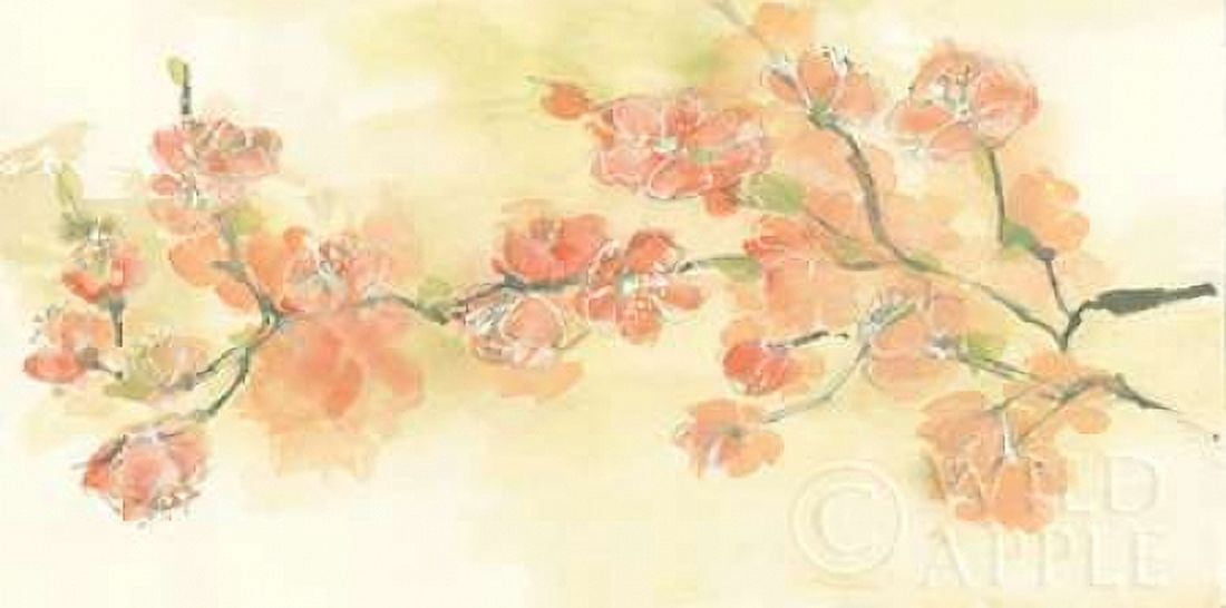 Tinted Blossoms I Canvas Art - Chris Paschke (24 x 48)