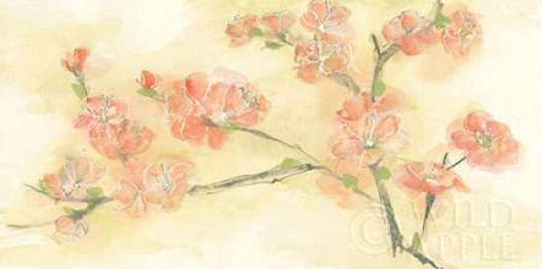 Tinted Blossoms II Canvas Art - Chris Paschke (24 x 48)