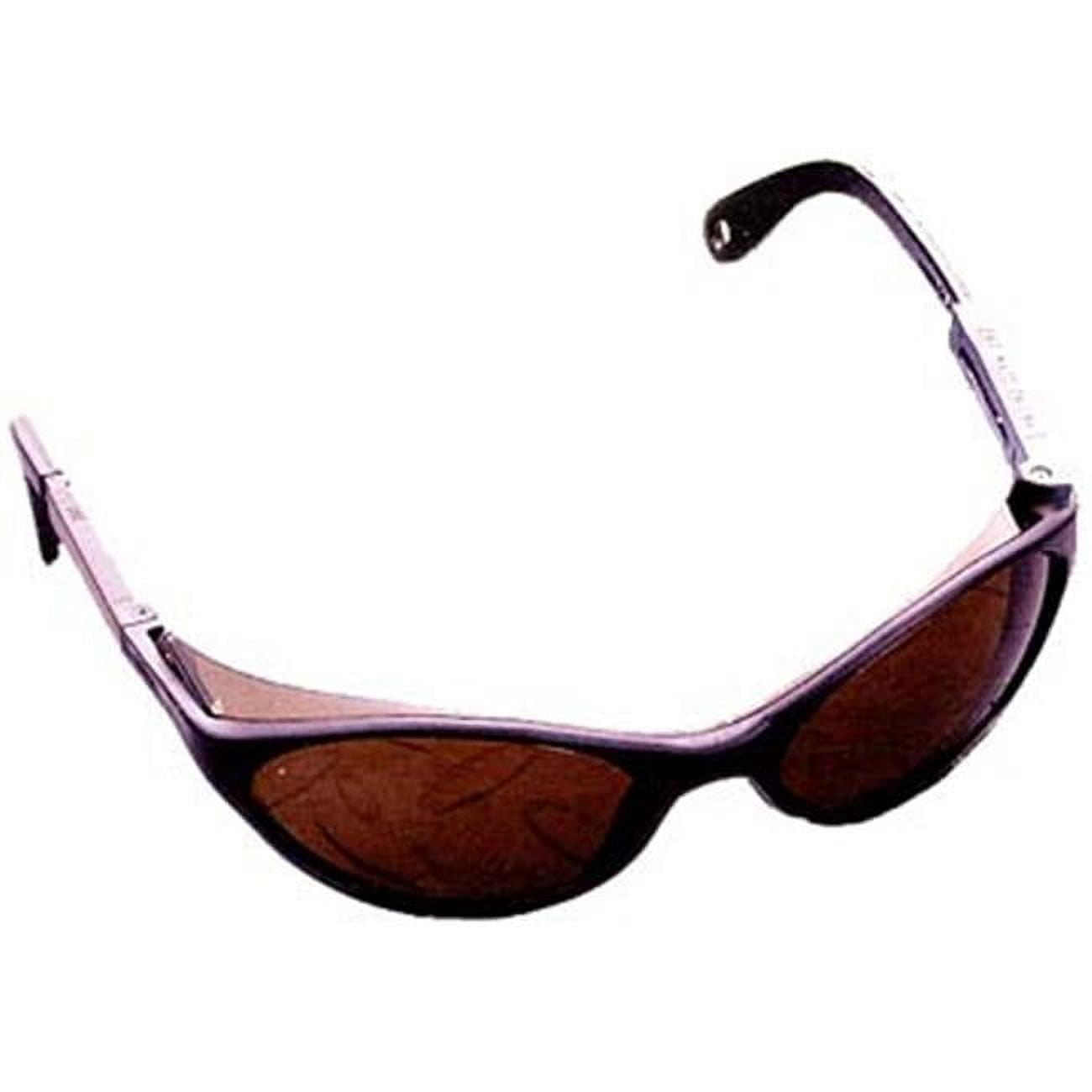 Tinted Dual Lens Safety Glasses