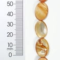 thumbnail image 1 of Tinted Shell 10x17mm Oval Beige 2x8", 1 of 4