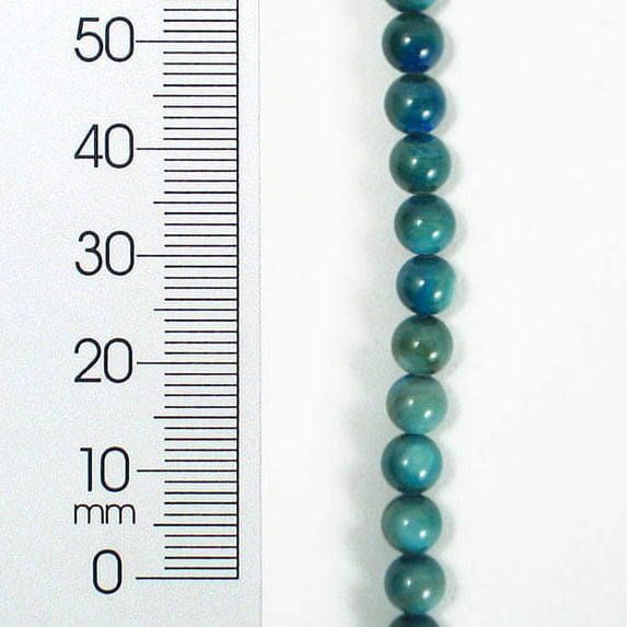 Tinted Shell 5mm Round Blue 2x8" Strand