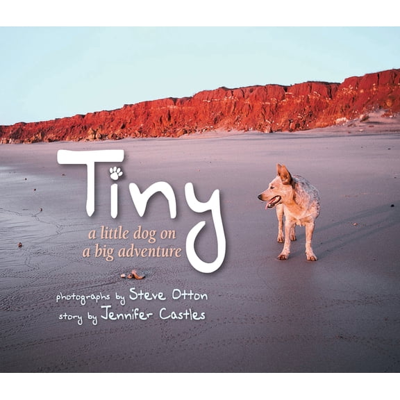 Tiny : A Little Dog on a Big Adventure (Paperback)