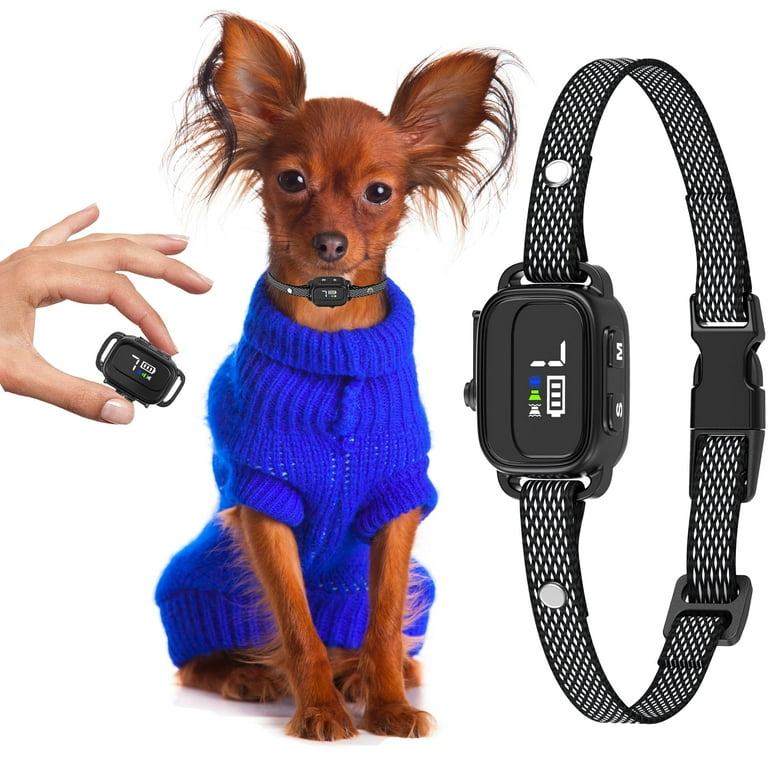 Non barking collar sale