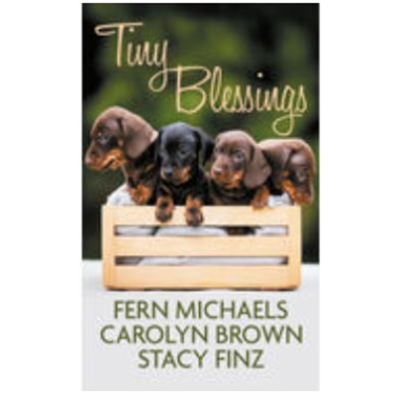 Pre-Owned Tiny Blessings (Hardcover)(Large Print)