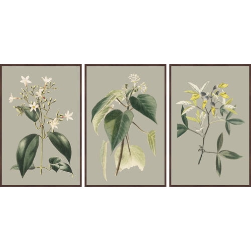 Marmont Hill Tiny Blooms Triptych