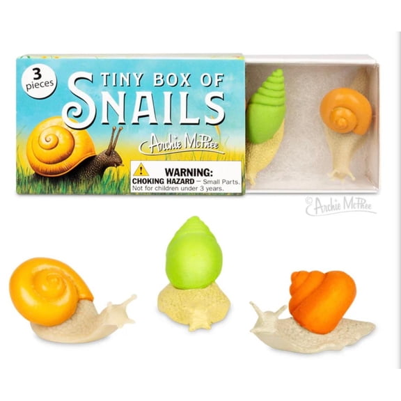 Tiny Box of Snails - 3 Piece Box