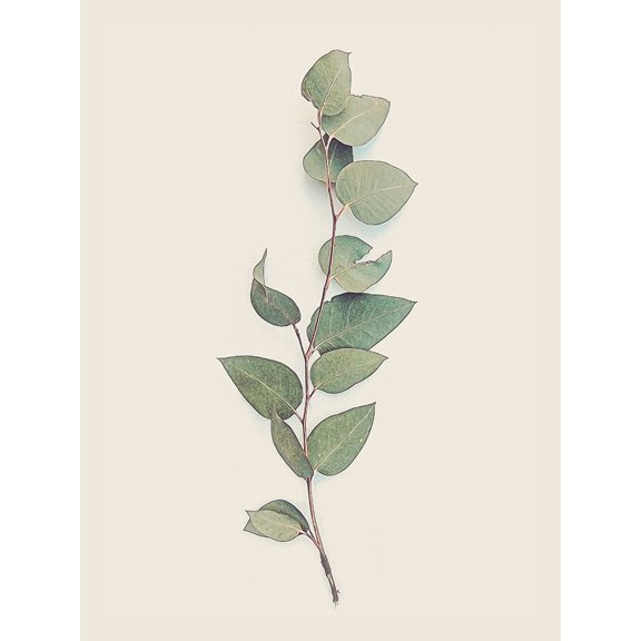 Tiny Branch Poster Print by Urban Epiphany Urban Epiphany
