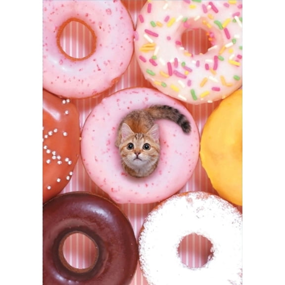 Tiny Cat Flexi Journal