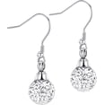 thumbnail image 1 of Tiny Crystal Ball Stainless Steel Cremation Earring for Women Keepsake Memorial Urn Jewelry for Ashes of Loved Ones, 1 of 6