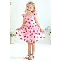 Tiny Cutey Toddler Girl Tulle Tutu Dress Baby Vintage Party Princess Skirt Set for 3-4T
