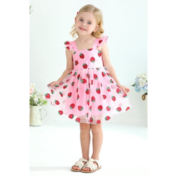 Tiny Cutey Toddler Girl Tulle Tutu Dress Baby Vintage Party Princess Skirt Set for 3-4T