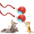 thumbnail image 1 of Tiny Fetch Dog Toy, Interactive Dog Ball, 2026 New Living Interactive Dog Cat Toys Rolling Balls, 360° Smart Automatic Rolling Pet Ball, Interactive Fast Moving Toys Balls with Birdsong(2pcs), 1 of 7