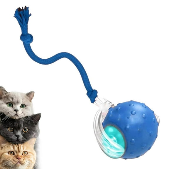 Tiny Fetch Dog Toy,Soothing Chirping Sounds Tiny Fetch Smart 360 Rolling,Automatic Rolling Electric Ball Toys with Birdsong,Fast Moving Balls Toys for Pets,Tough Chew,Suitable for Dog and Cat