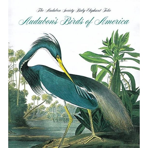 Tiny Folio Audubon's Birds of America The National Audubon Society