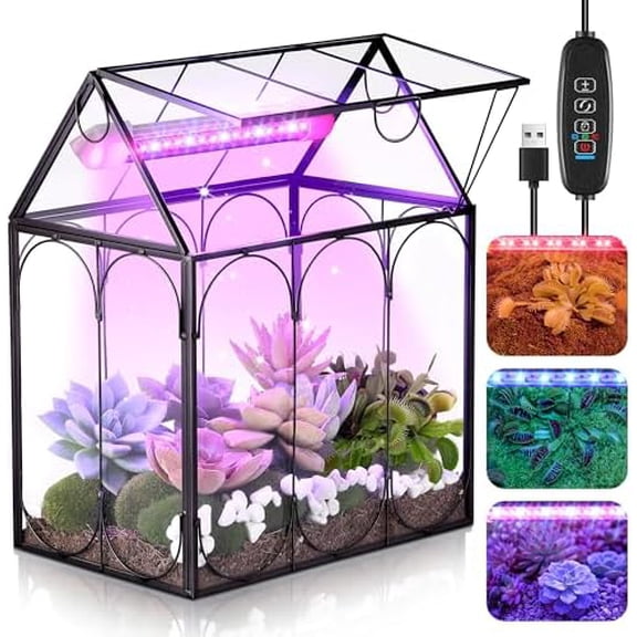 Tiny Glass Terrarium Kit with Grow Light, Venus Fly Trap Terrarium with Absorbent Mat, Timer&3 Light Modes for Succulent Live Air Plants Indoor Home Office Decor (7.1"x 4.7"x 8.7",USB Powered)