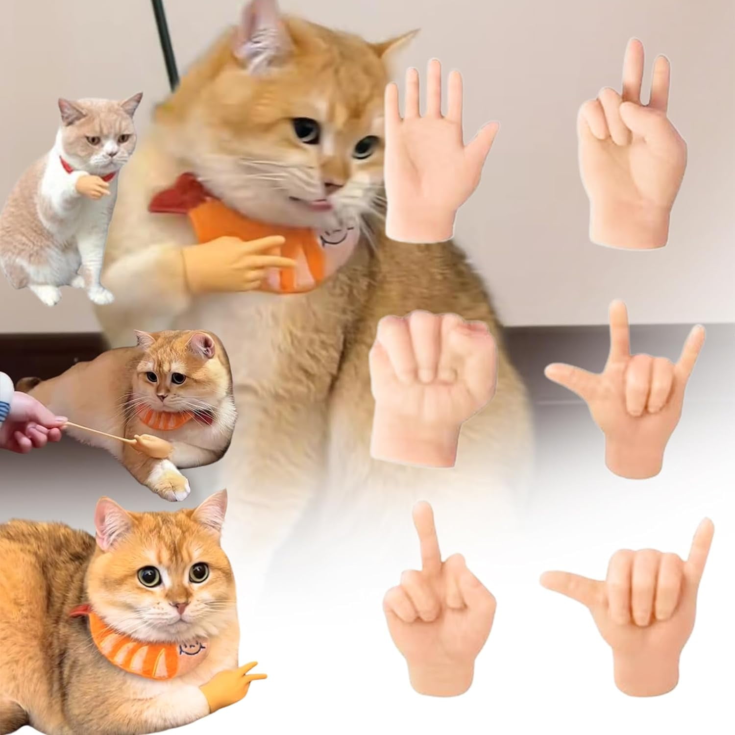 Glove cat toy discount