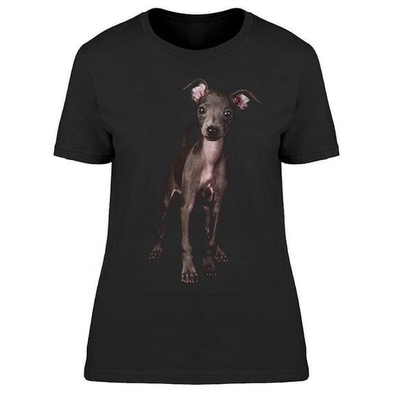 Tiny Italian Greyhound Pup T-Shirt Women -Image by Shutterstock, Female Large
