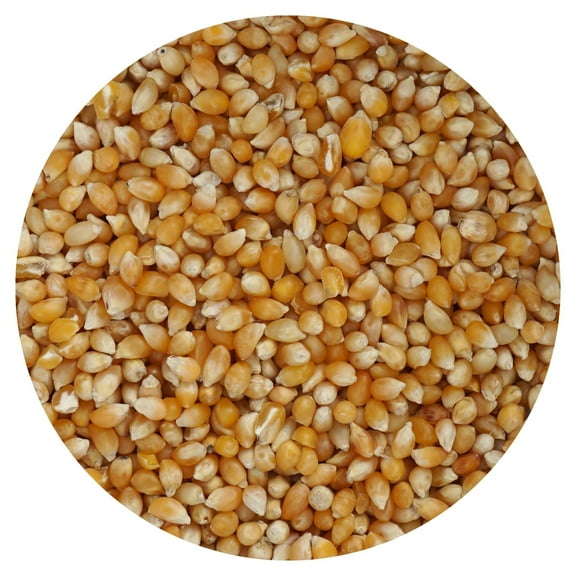 Tiny Kernel Popcorn, 44 Ounce Bulk Bag, The Hampton Popcorn Company