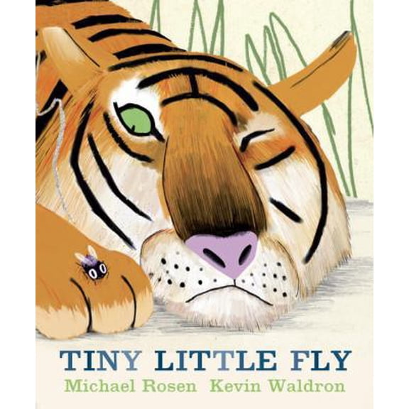 Pre-Owned Tiny Little Fly (Hardcover) 0763646814 9780763646813