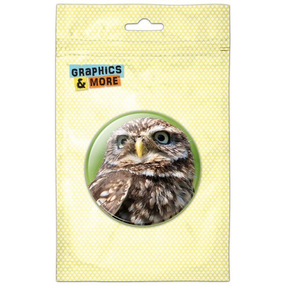 Tiny Little Small Owl Refrigerator Button Magnet