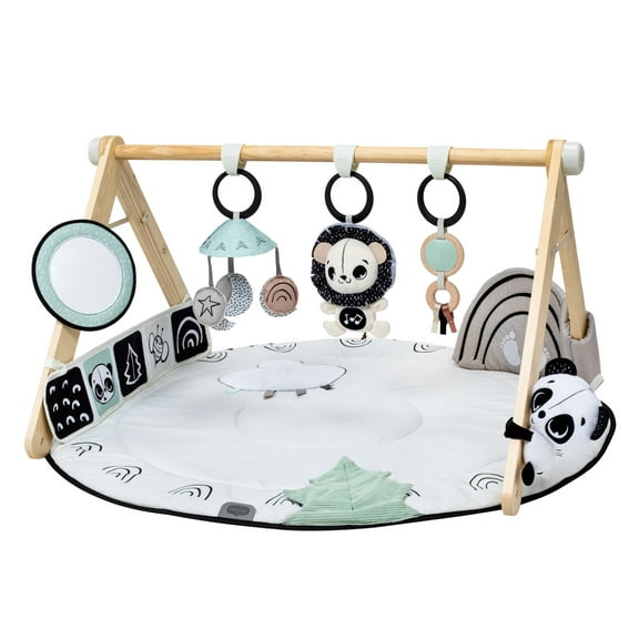 Tiny Love Luxe Developmental Gymini