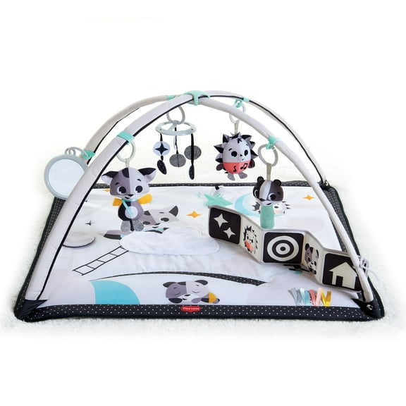 Tiny Love Magical Tales Black & White Gymini, White,