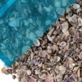 thumbnail image 1 of Tiny Miniature Fairy Garden Sea Shell Assorted Mix | Tiny Small Sea Shells for Craft and Decoration (16 Ounces, 1,500+), 1 of 1