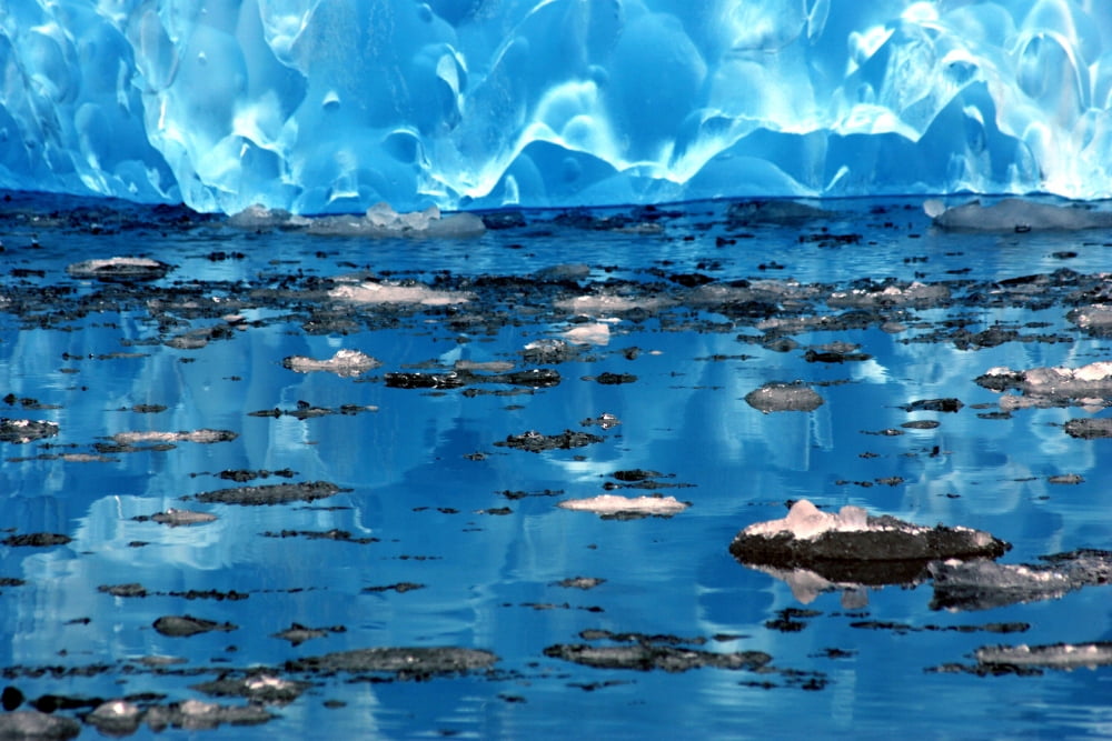 Tiny Pieces Of Ice Float Near An Iceberg In Leconte Bay Southeast Alaska Canvas Art - Chip Porter Design Pics (34 x 22)