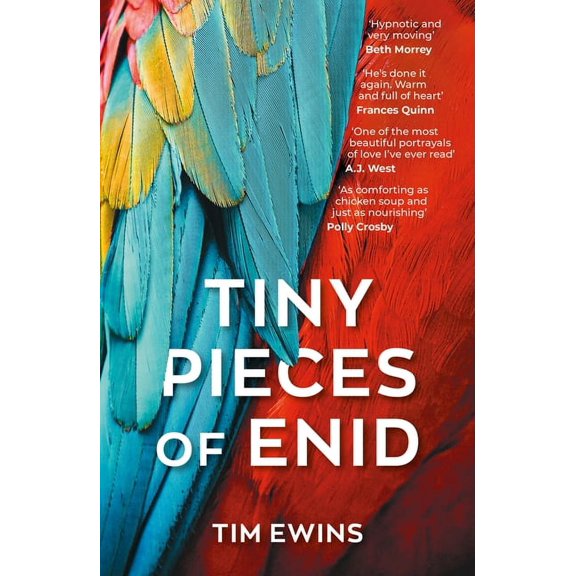 Tiny Pieces of Enid (Paperback)