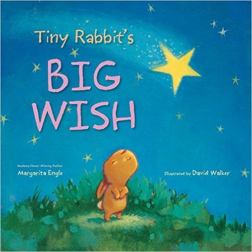 Pre-Owned Tiny Rabbit's Big Wish, 9781338036213, 1338036211, Paperback,