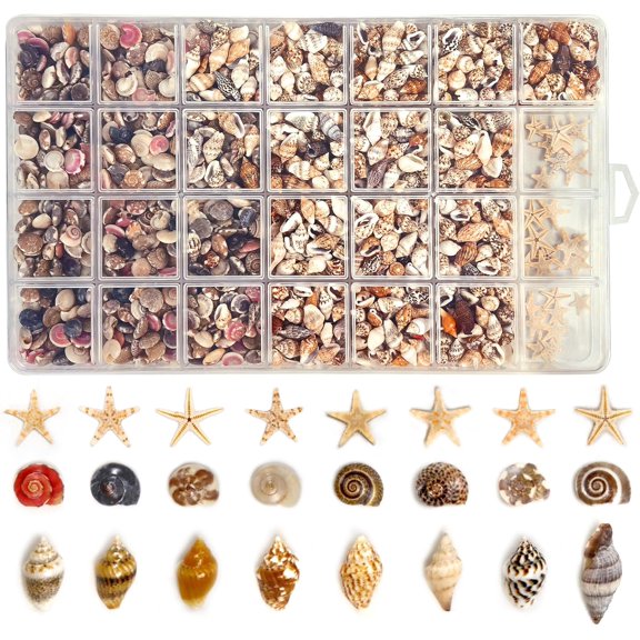 Tiny Seashells for Crafts, Small sea Shells in Bulk with mini Starfish for Home Decorations, DIY Ornaments, Sea Shells for Crafting Vase Filler, Fish Tank