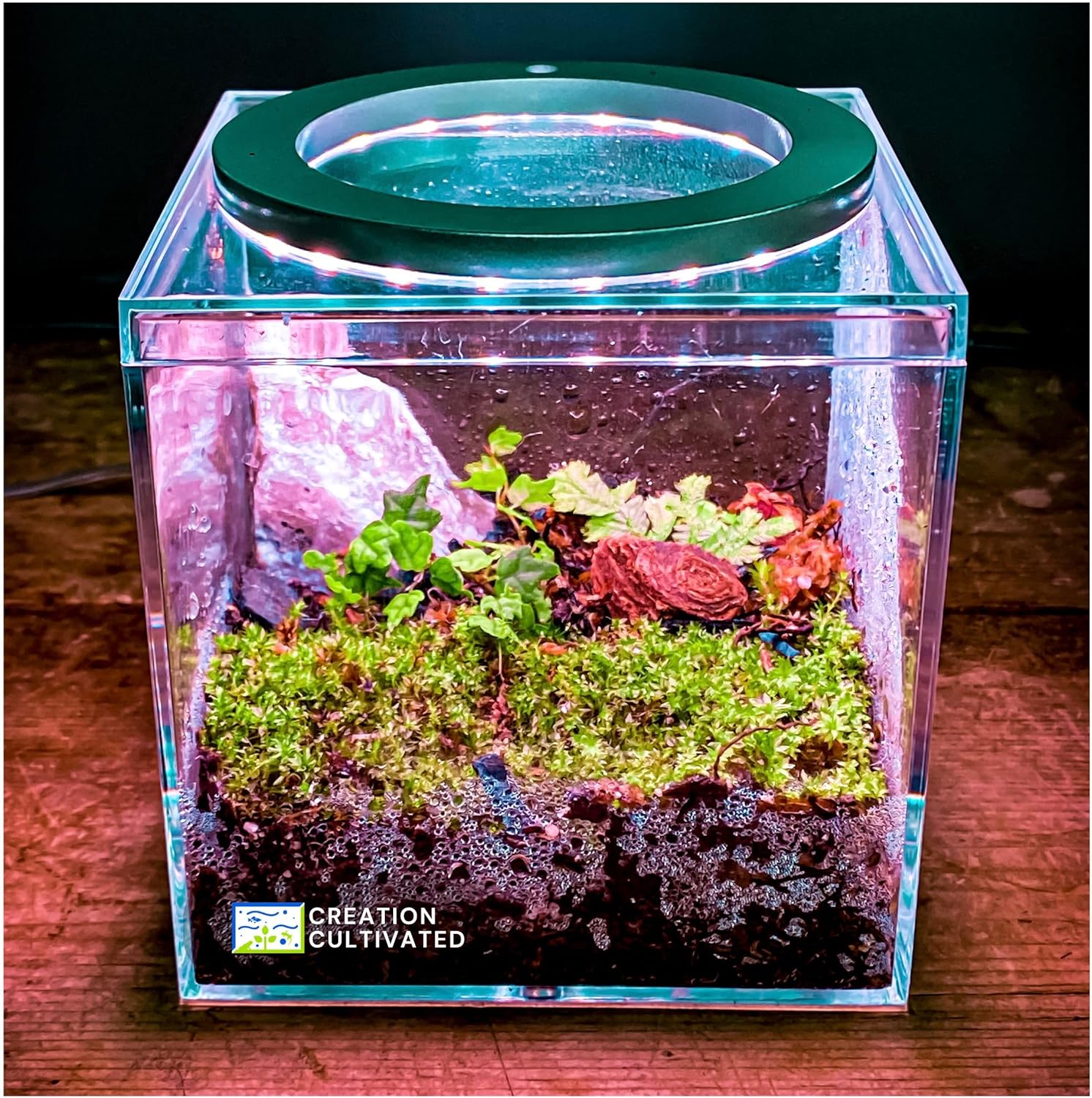 Bio Dude Led Reptile Lighting The Bio Dude Solar Grow LED Light 24