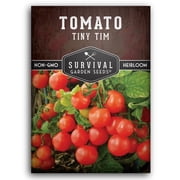 Tiny Tim Cherry Tomato Seeds - Full Sun Annual Vegetable - 1 Pack